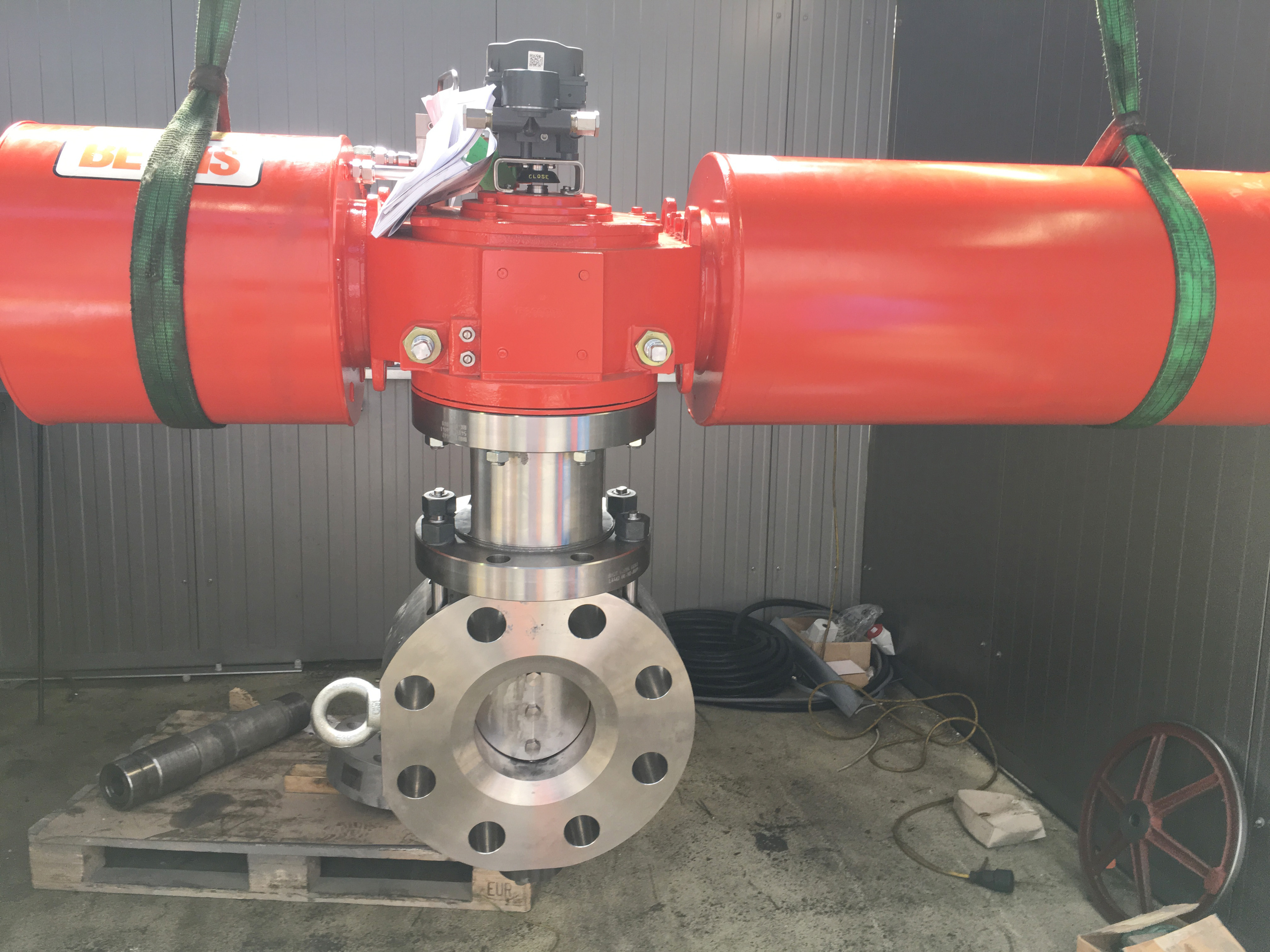 Safurex®蝶形控制阀