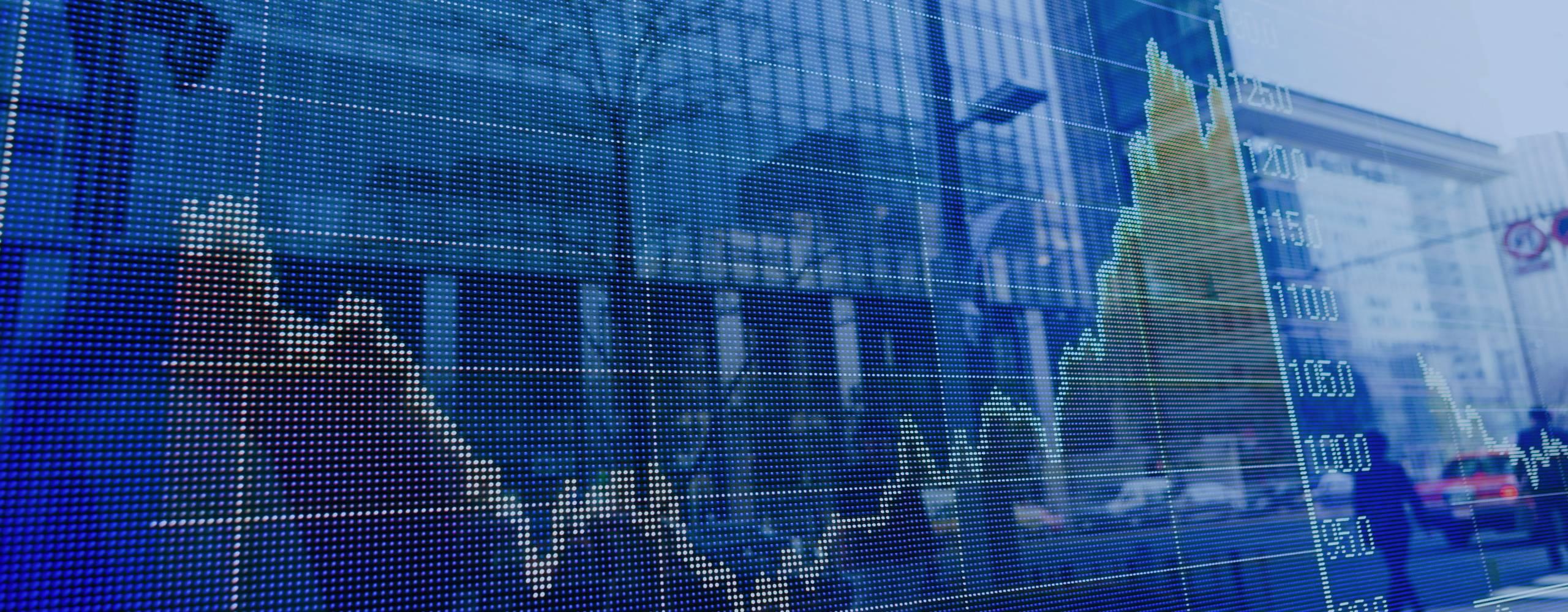 Stamicarbon Investors Information