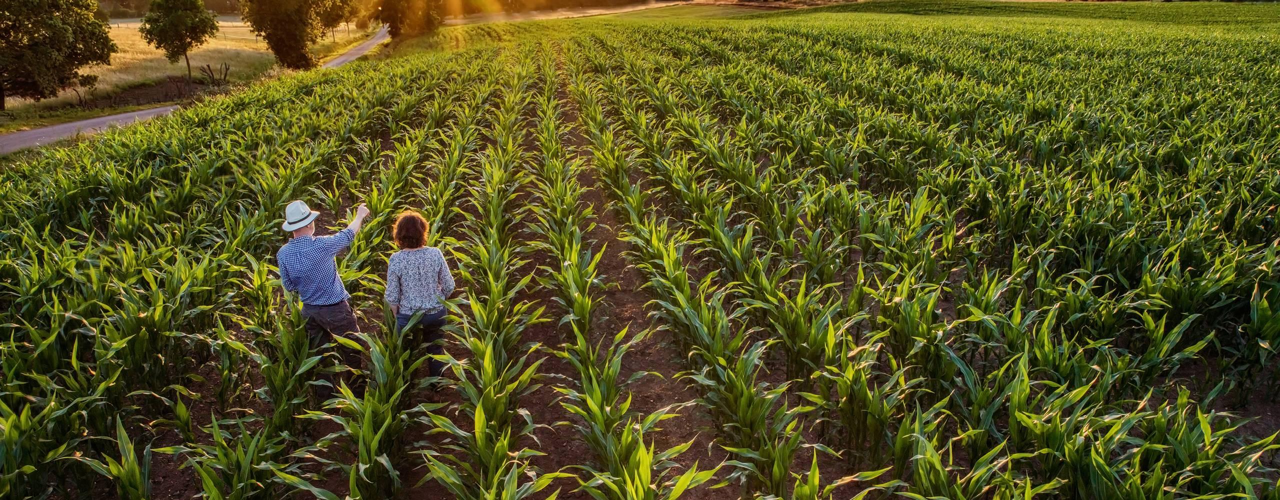 Stamicarbon Mission Vision Header