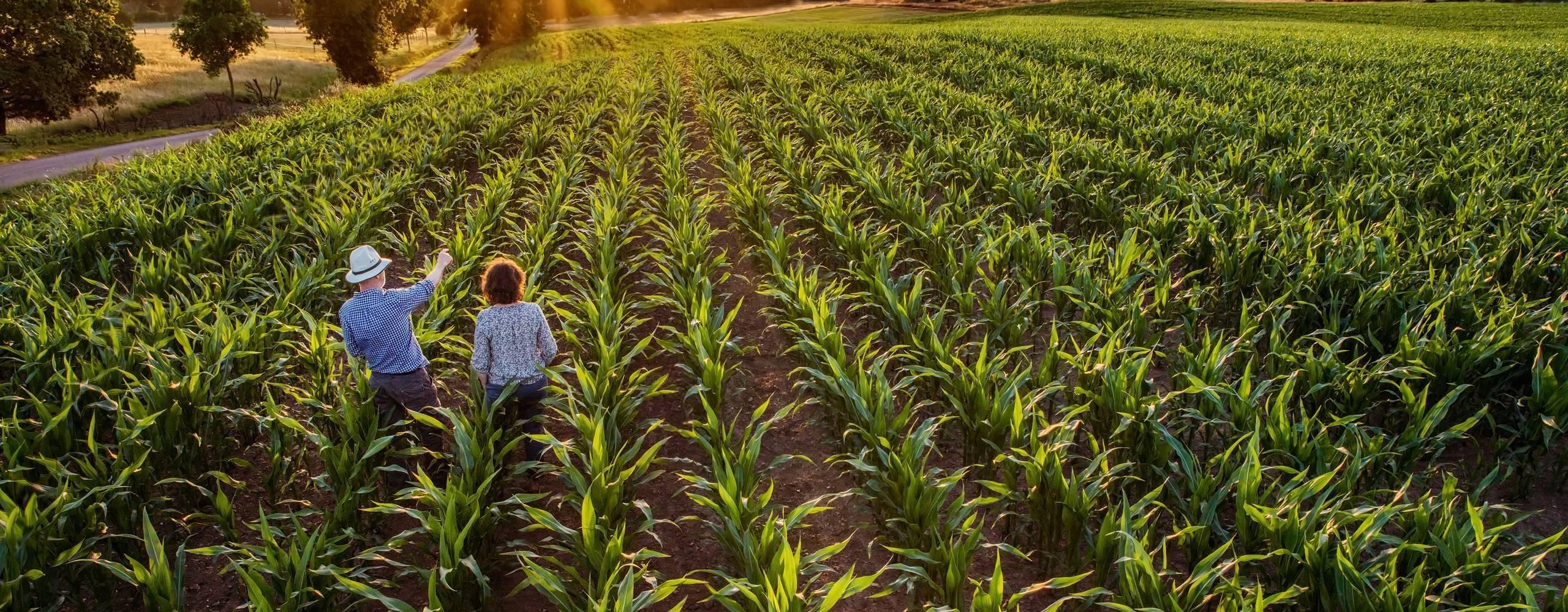 Continuous improvement