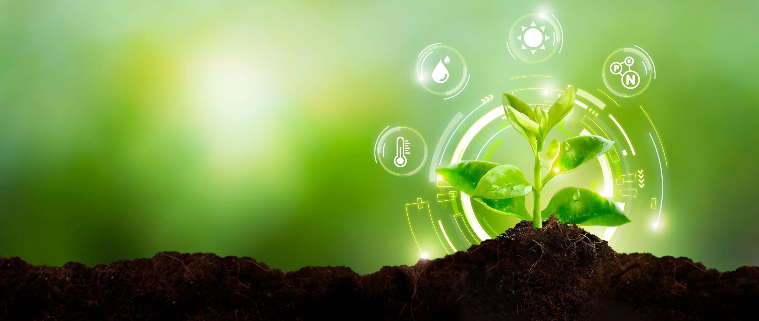 Controlled-release fertilizer