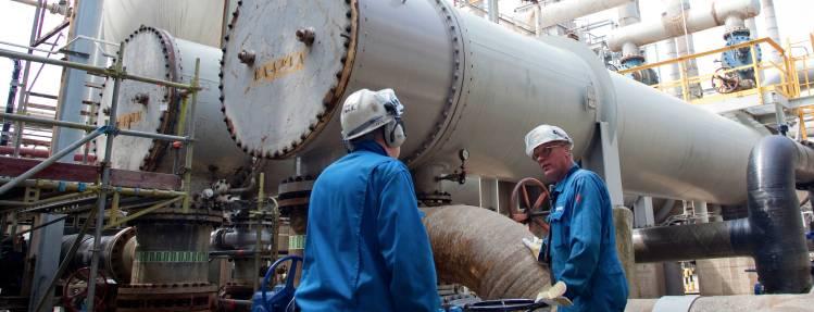 Stami Urea Advance References