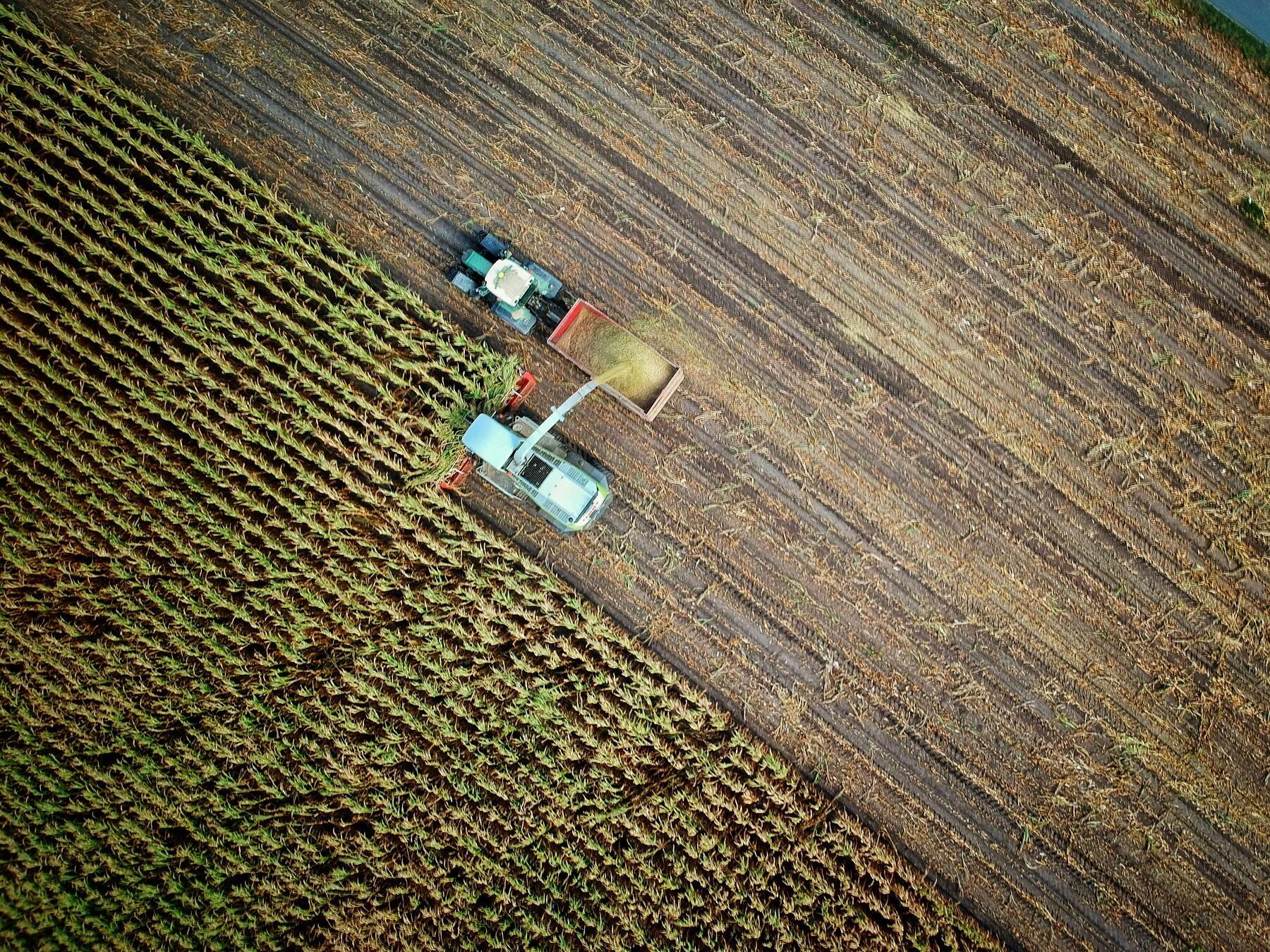 Farm