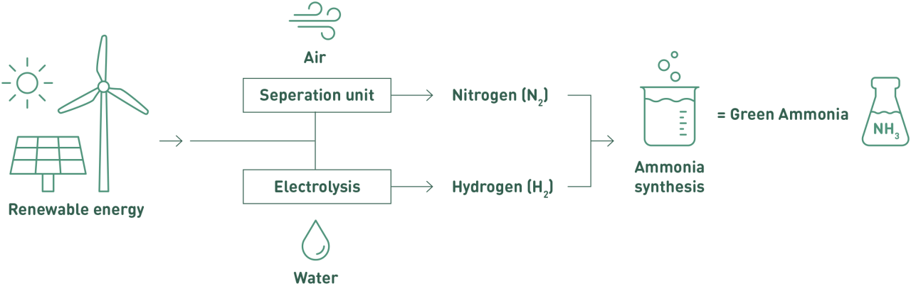 Green ammonia production